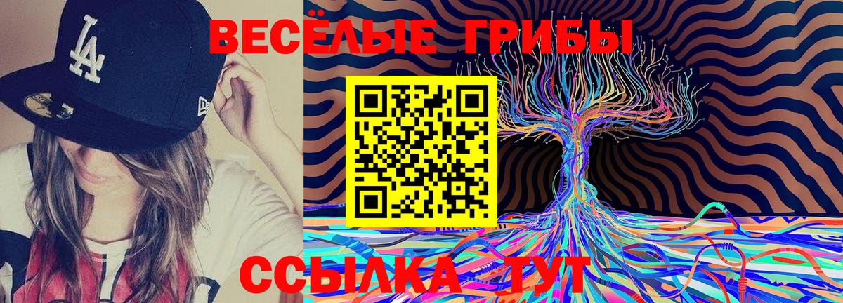 Псилоцибиновые грибы прущие грибы Мелеуз